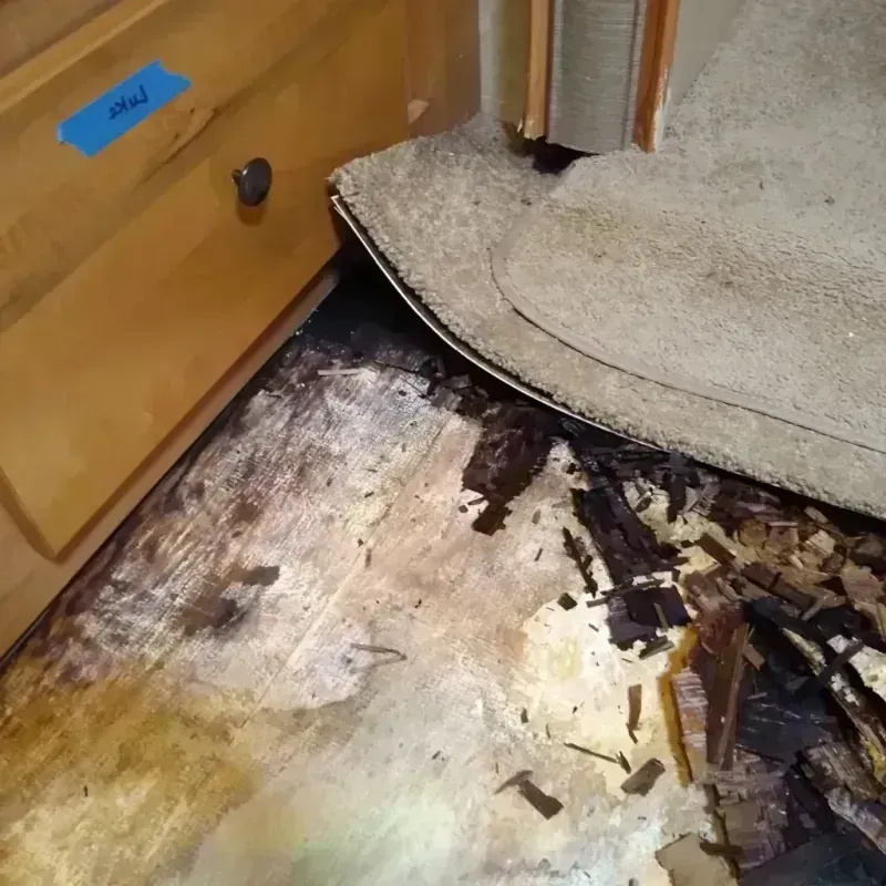 Best Wood Floor Water Damage Service in Nettleton, MS